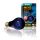 Exo Terra Night Heat Lamp E27