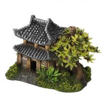 Aasialainen talo ja puutarha