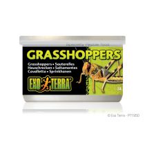 Exo Terra Grasshoppers 34 g