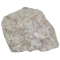 Fossiilikivi numero 1