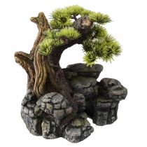 Bonsaipuu kalliolla koriste