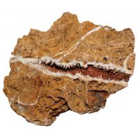 "Maple Leaf Rock" sedimenttikivi numero 13