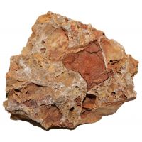 "Maple Leaf Rock" sedimenttikivi numero 4