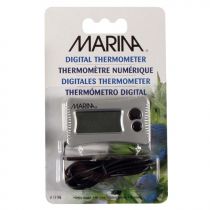 Marina Thermosensor