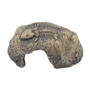 Ceramic Nature fossiililuola ruskea