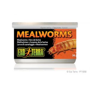 Exo Terra Mealworms 34 g