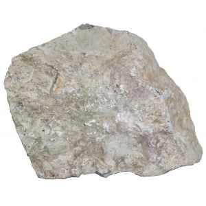 Fossiilikivi numero 1
