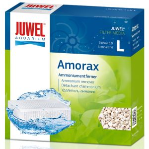 Juwel Amorax