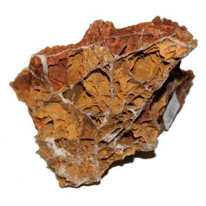 "Maple Leaf Rock" sedimenttikivi numero 1