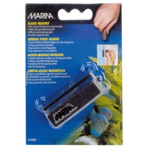 Marina algae magnet