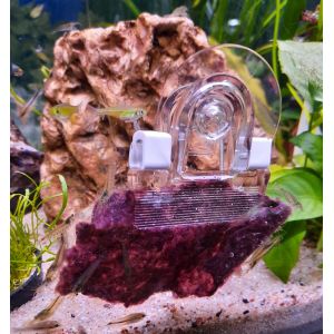 Ocean Nutrition Seaweed Clips