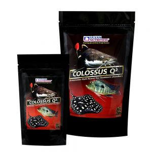 Ocean Nutrion Colossus Q2