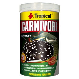 Tropical Carnivore pelletti
