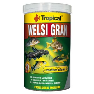 Tropical Welsi Gran