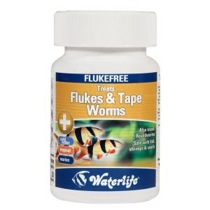 Waterlife Flukefree 20 tablettia
