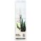 Tropica Spring Scissors kasvisakset