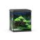 Vio Cube 54