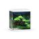 Vio Cube 54